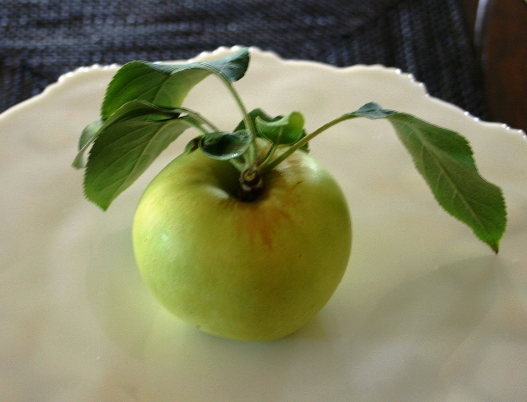 Hawaii apple variety General Fruit Growing Growing Fruit