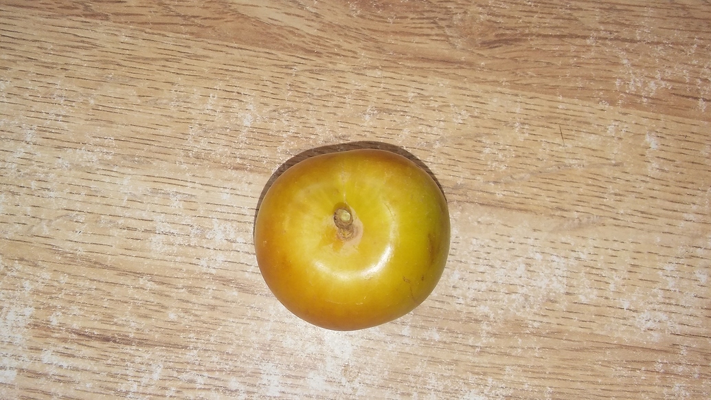 Emerald Drop Pluots General Fruit Growing Growing Fruit