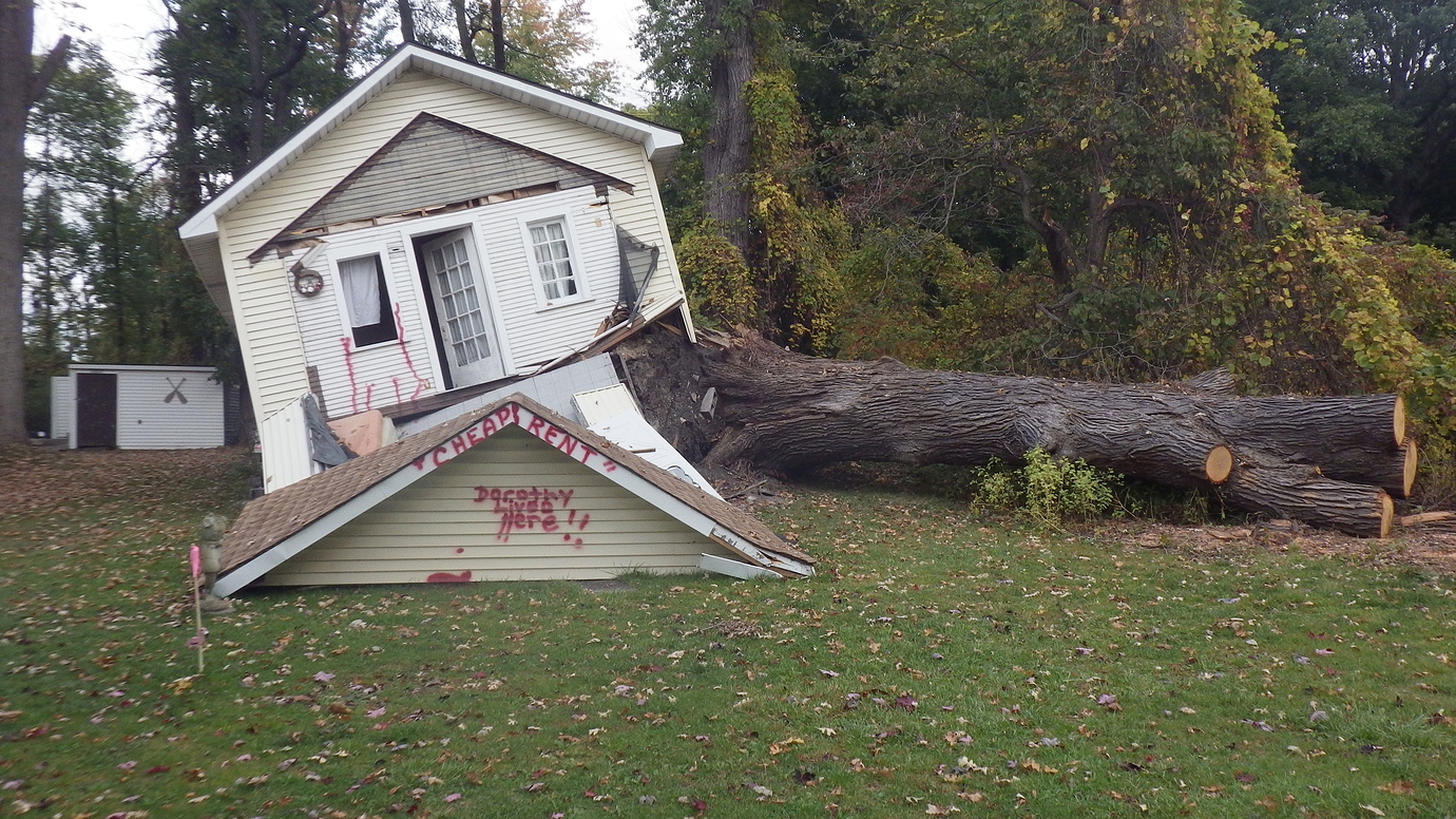 Completely Burying Pots Underground General Fruit Growing Growing Fruit