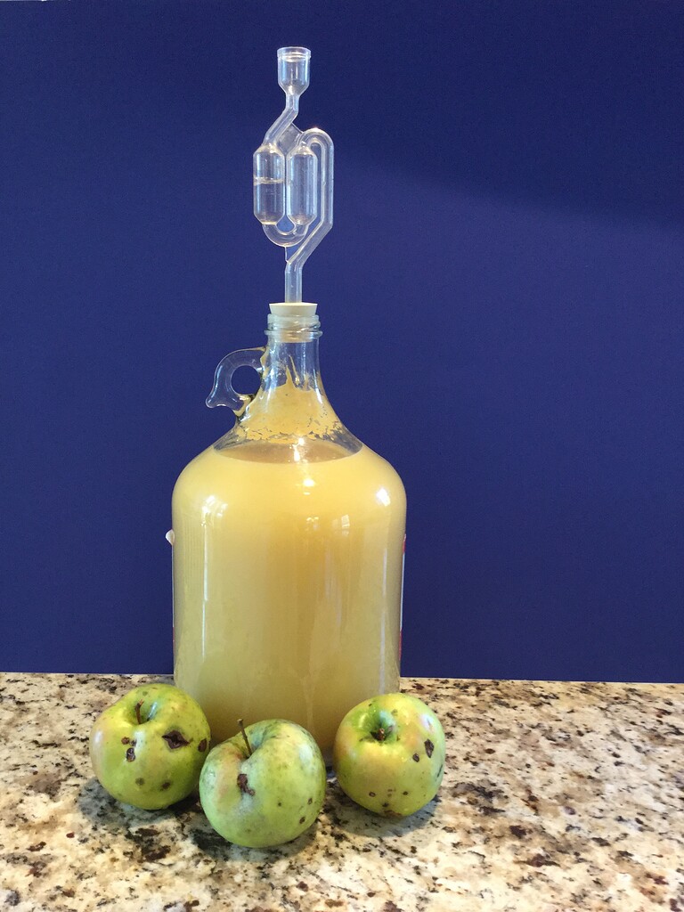 Taste of hard cider Cider Growing Fruit