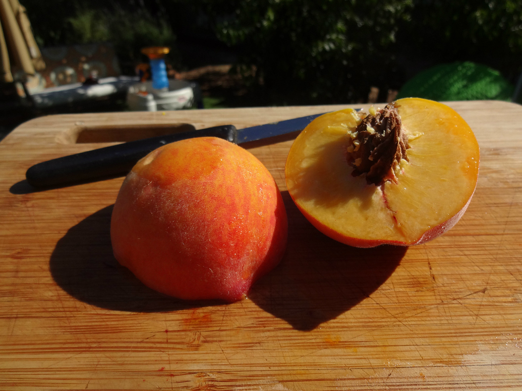 Favorite Peaches for California General Fruit Growing Growing Fruit