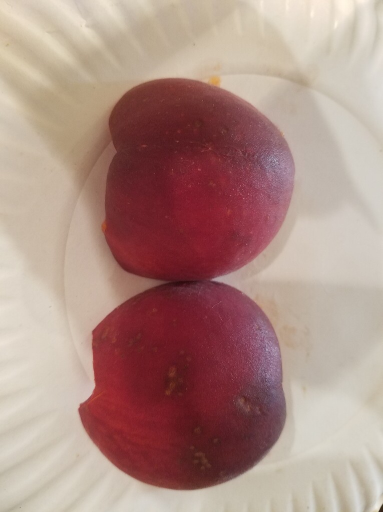 ID this red fleshed peach? General Fruit Growing Growing Fruit
