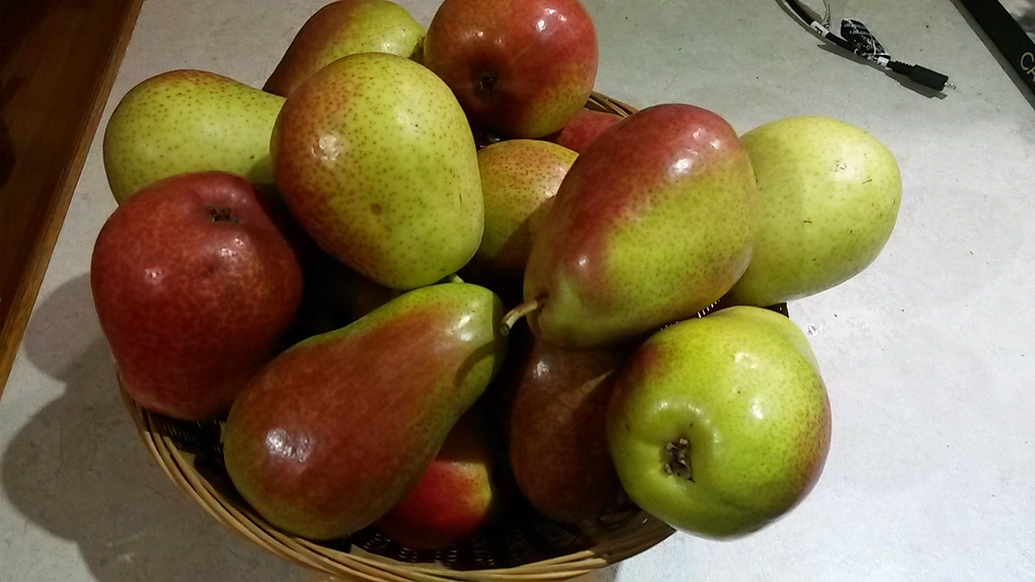 Costco fruit General Fruit Growing Growing Fruit