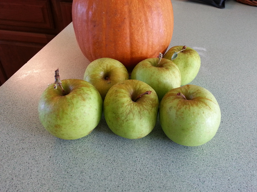 Which apples do you have ripening now? General Fruit Growing