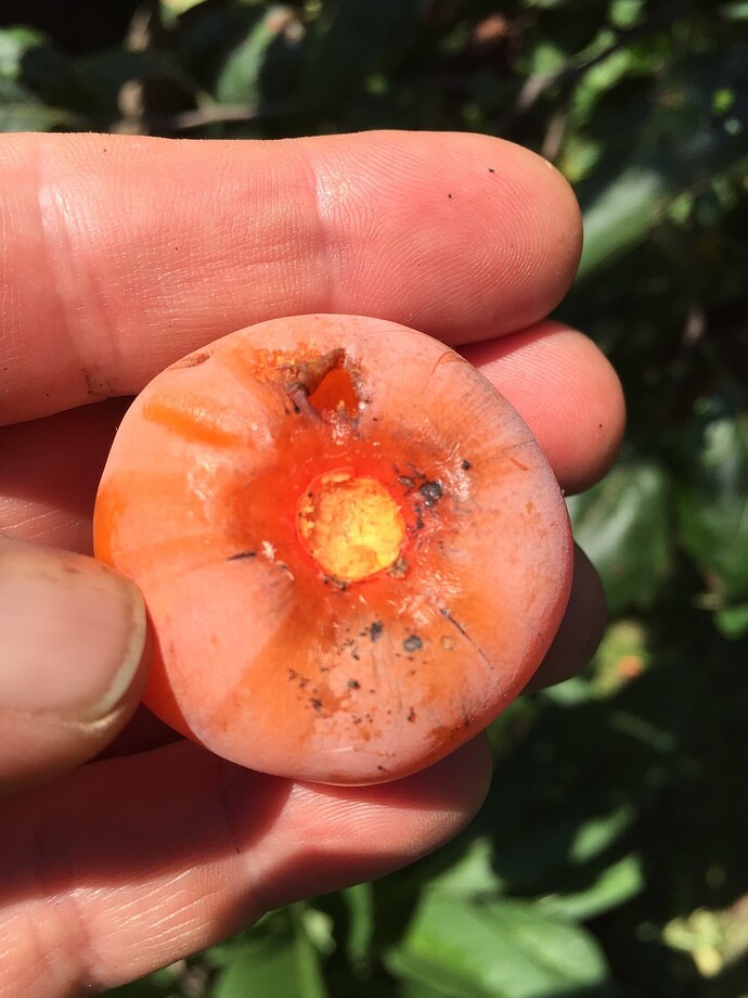 2c32b07adfa00fb05b22a7a34fca607bab92b97a_2_1380x1840