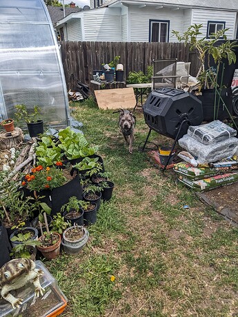 PXL_20240616_210628433