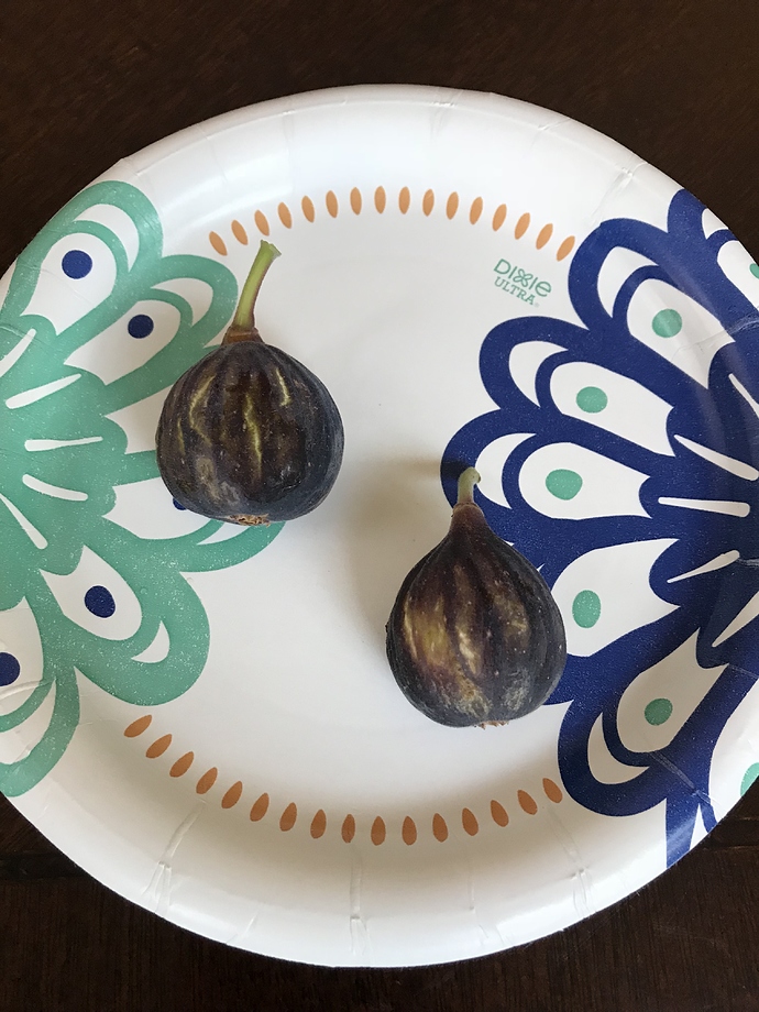 5D3BD073-F61B-4392-B838-3B0B5BF9FA56