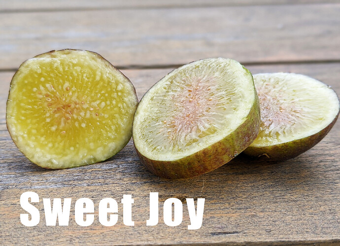 Sweet Joy6