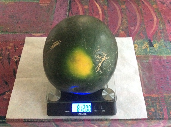 0DA2D733-949D-4BDA-A0AB-AE3B6C7D15E5