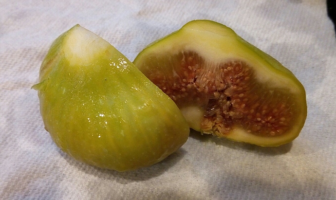 LSU%20Gold_26Aug2019