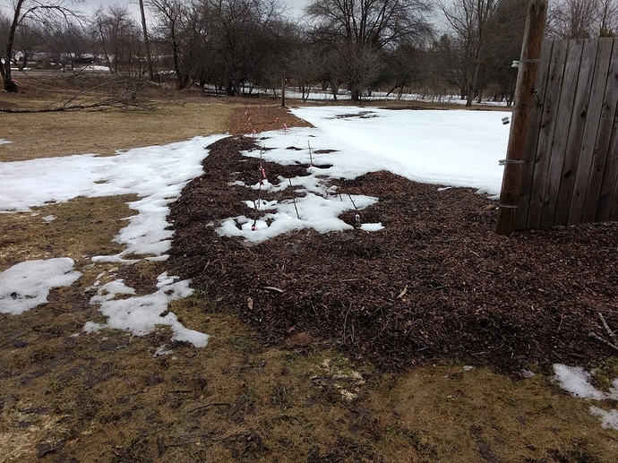 IMG_20180413_113758050[2]