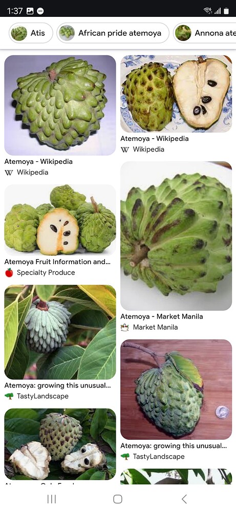 Screenshot_20241128_013702_Chrome