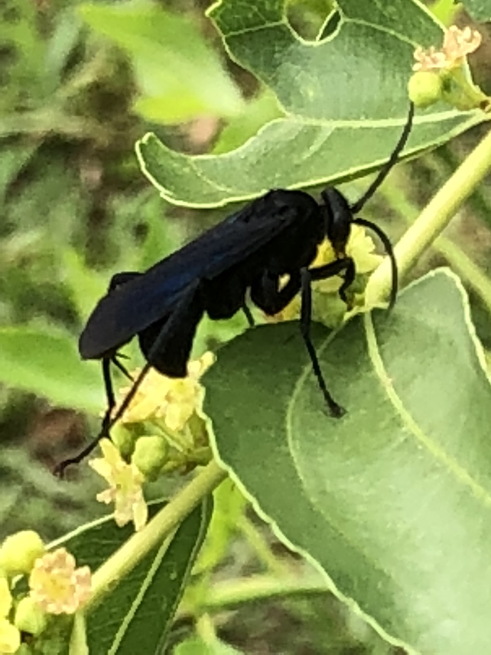 8281C729-263B-41C4-ABAC-FF4B2C44426F