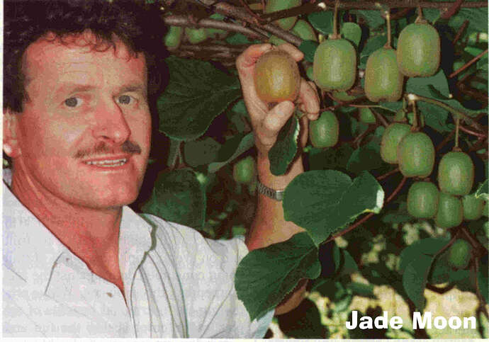 JadeMoon