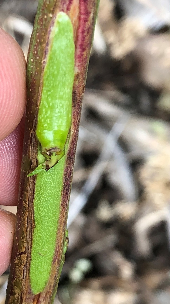 20190628_185734912_iOS%20(2)