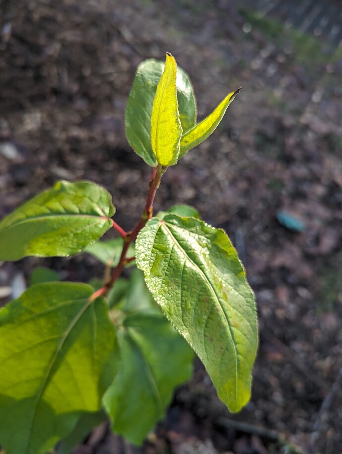 PXL_20231221_202632146