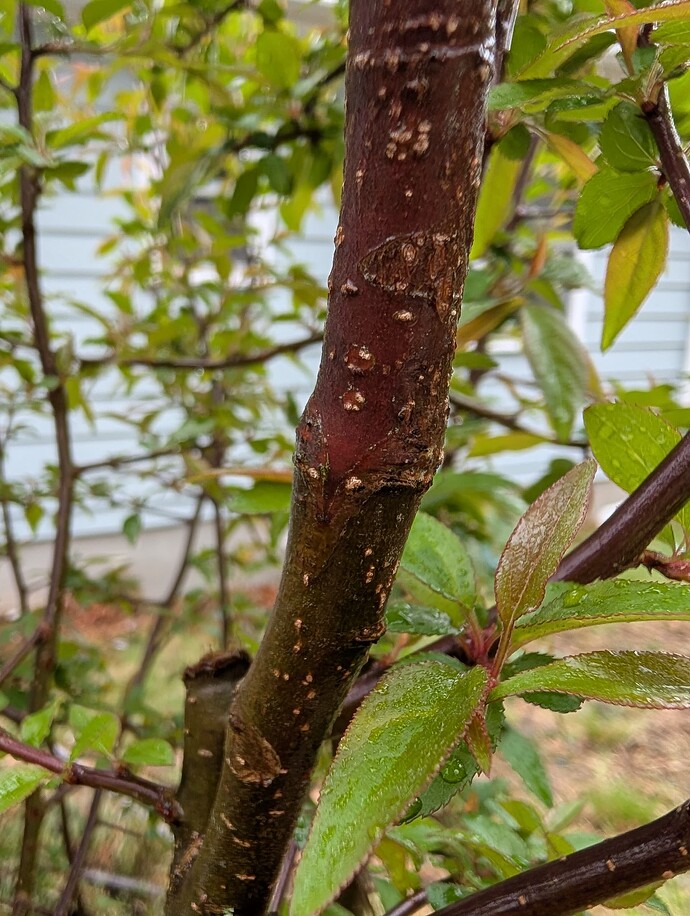 PXL_20250426_153208130