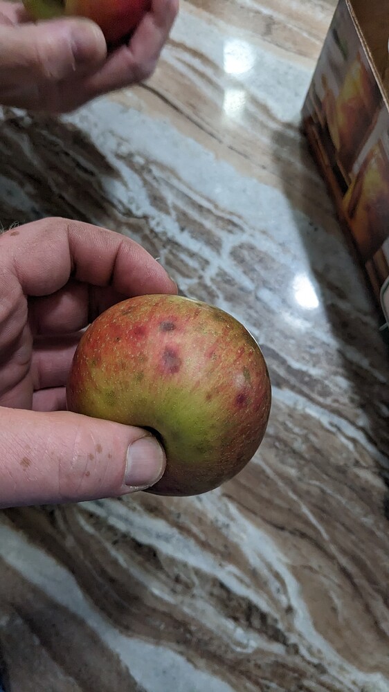 PXL_20230910_214326062