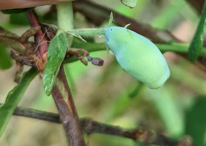 PXL_20230522_165654543