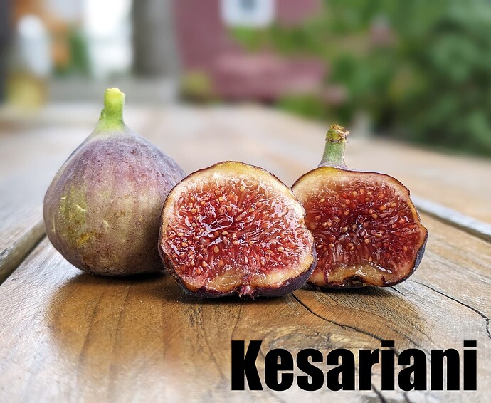 Kesariani_2024b