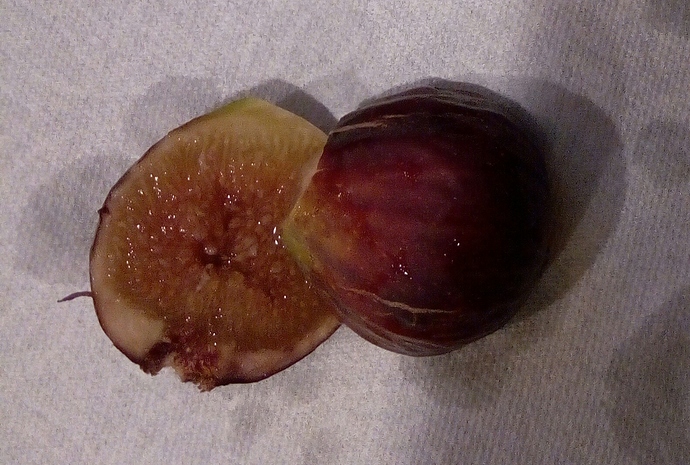 Frank's%20Salerno_27Aug2019