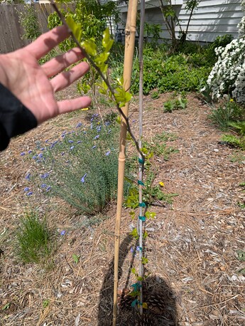 PXL_20250515_204755918