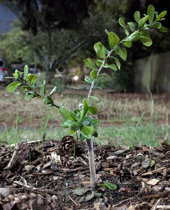 PXL_20240829_040613985.NIGHT