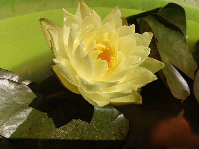 IMG_20220627_143434_1