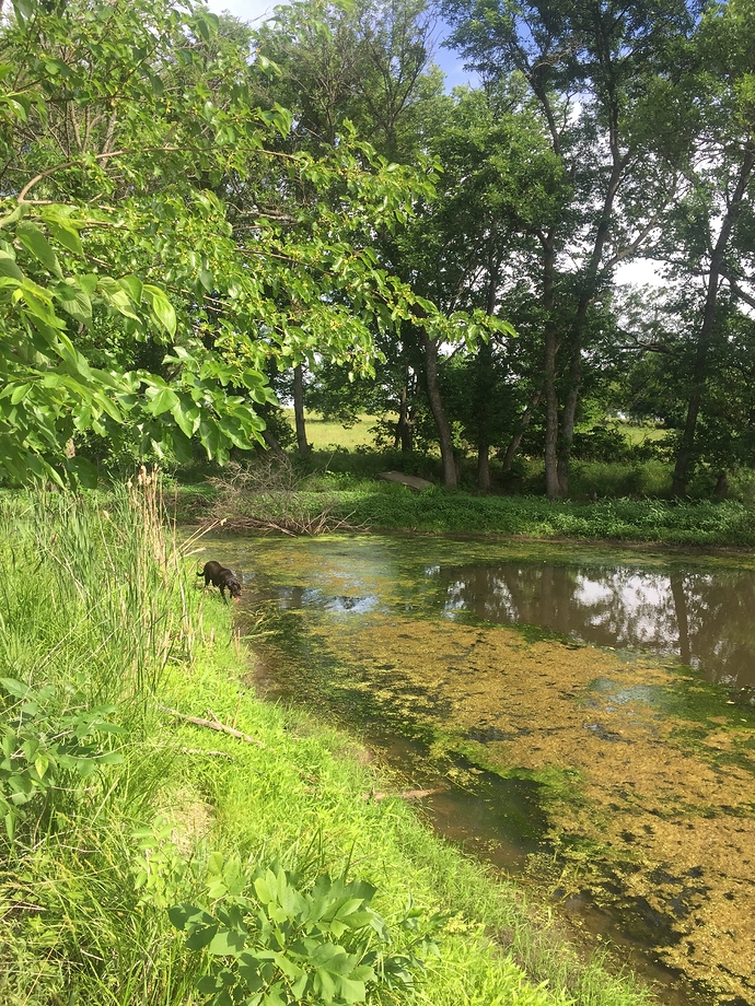 F6D207DF-1423-4F72-A946-A50F96FCE3C8