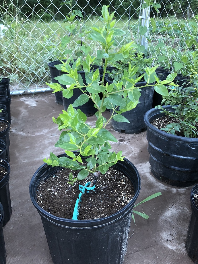 636727AA-3BFB-4C22-99B3-962B7E190C87