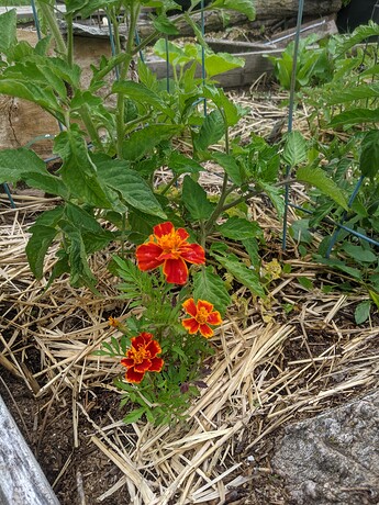 PXL_20220618_231431590