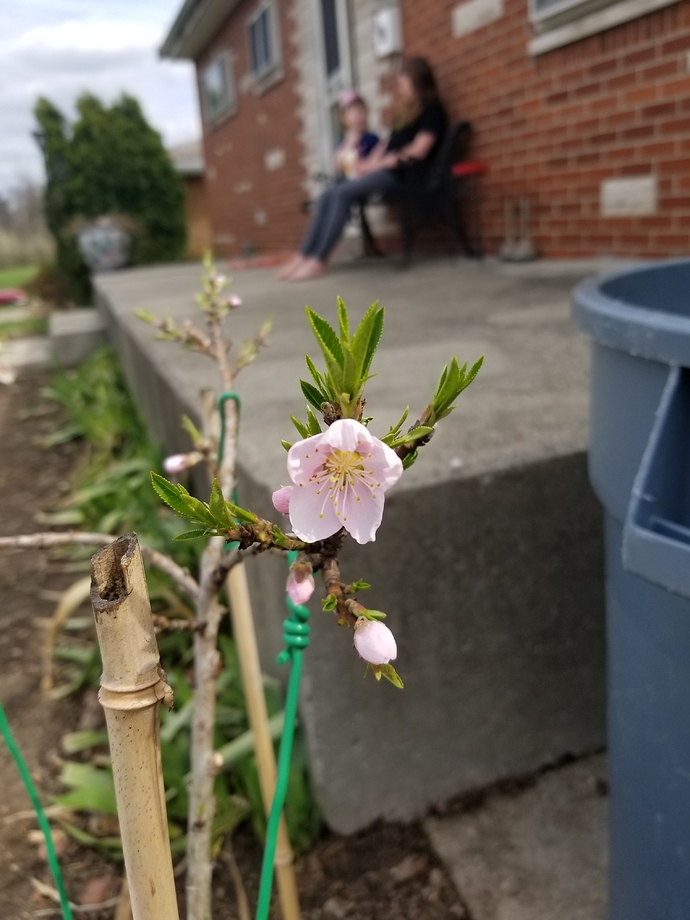 20190406_150453