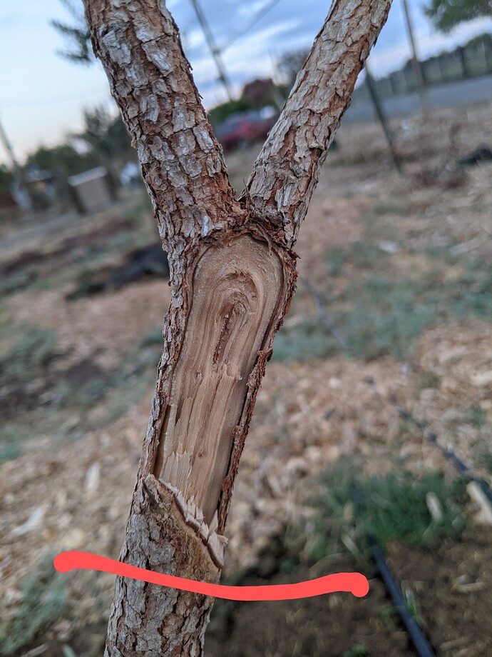 PXL_20211026_010722755~2