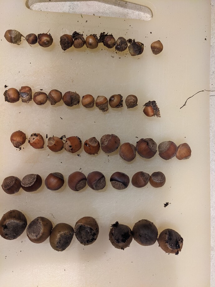 PXL_20211009_205651408