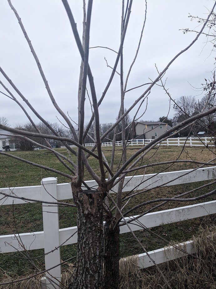 PXL_20230108_224027823