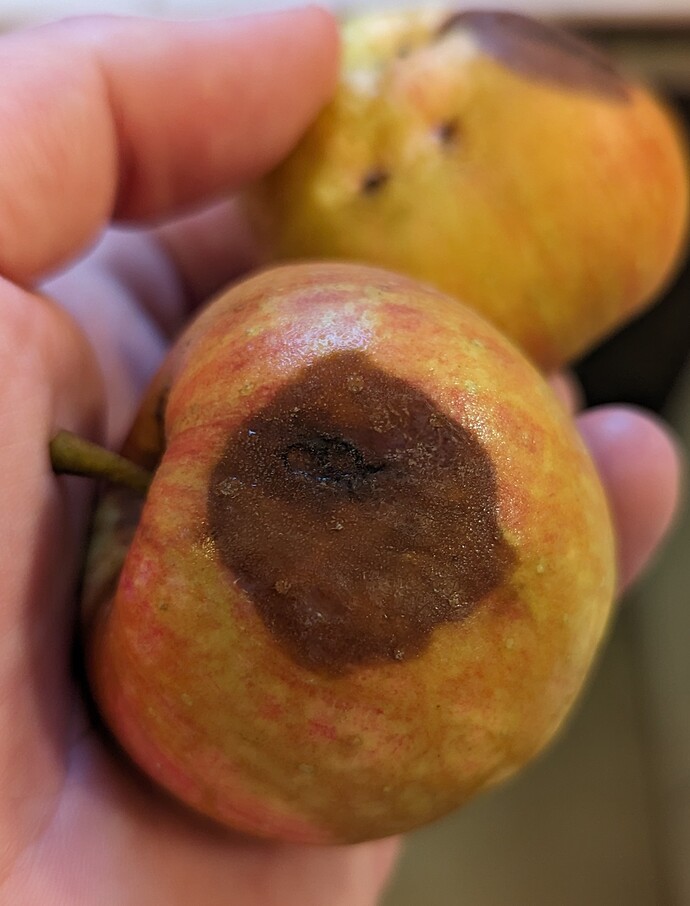 PXL_20230805_233520687~2