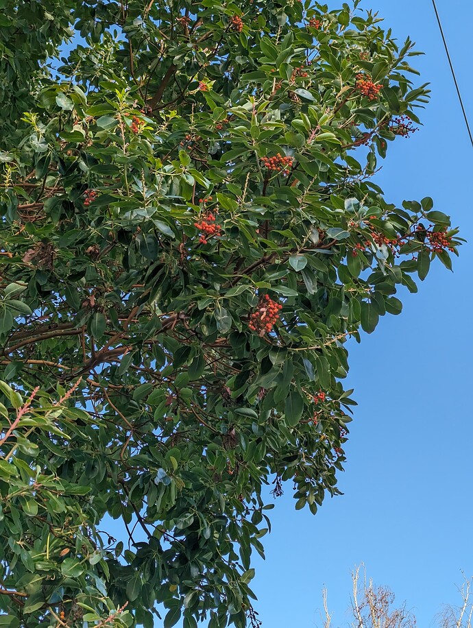 PXL_20231104_225505359