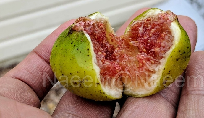 Carini%2010-29-2019%20%20C