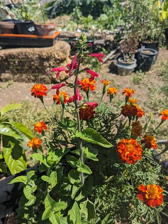 PXL_20240707_201240710