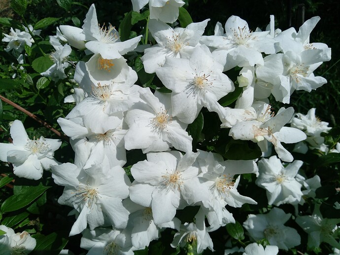 IMG_20240519_100000_241