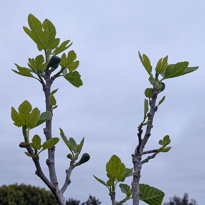 PXL_20250327_020259707