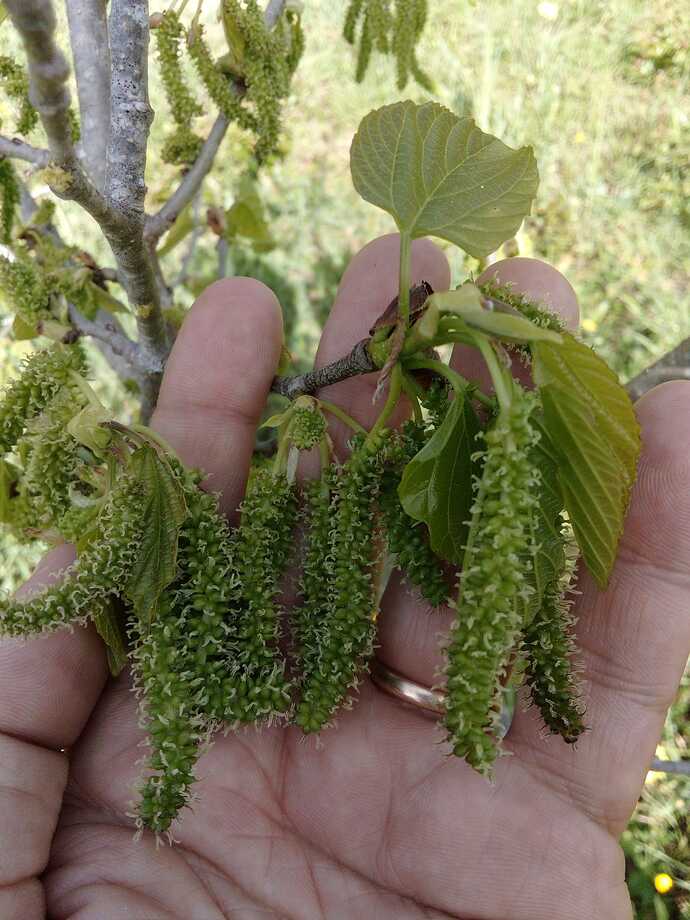 Imagem WhatsApp 2023-04-04 às 11.50.46