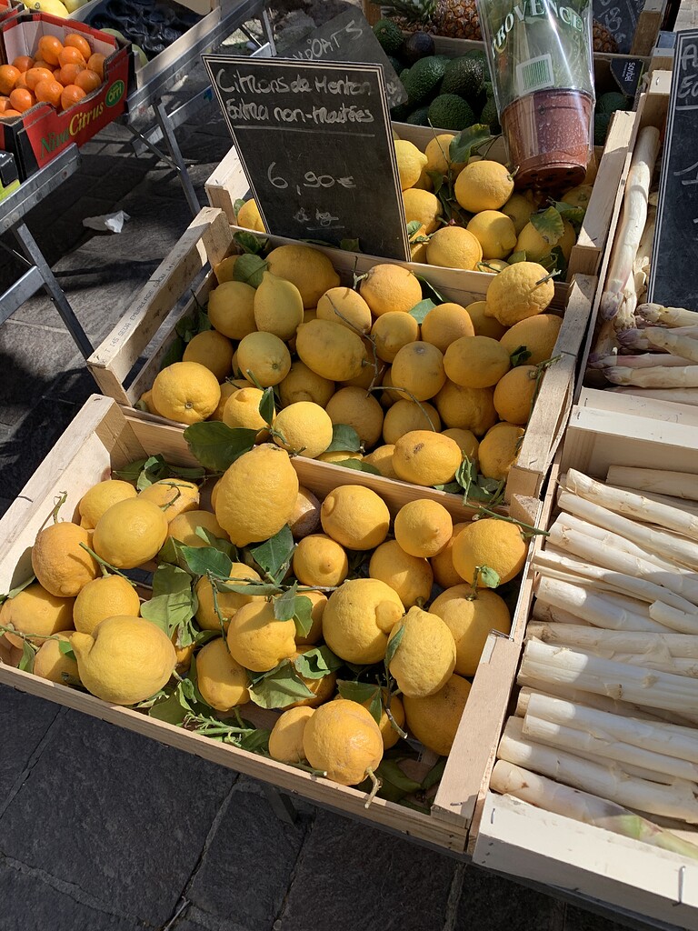 Marche pictures first French berries of spring Pictures! Growing Fruit