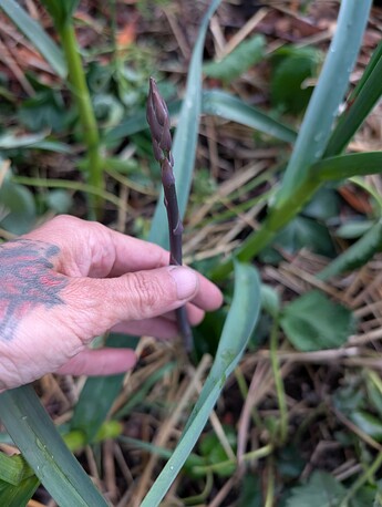 PXL_20250520_031723963