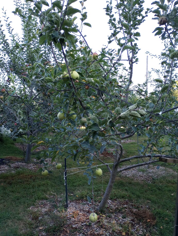 IMG_20220825_075449795