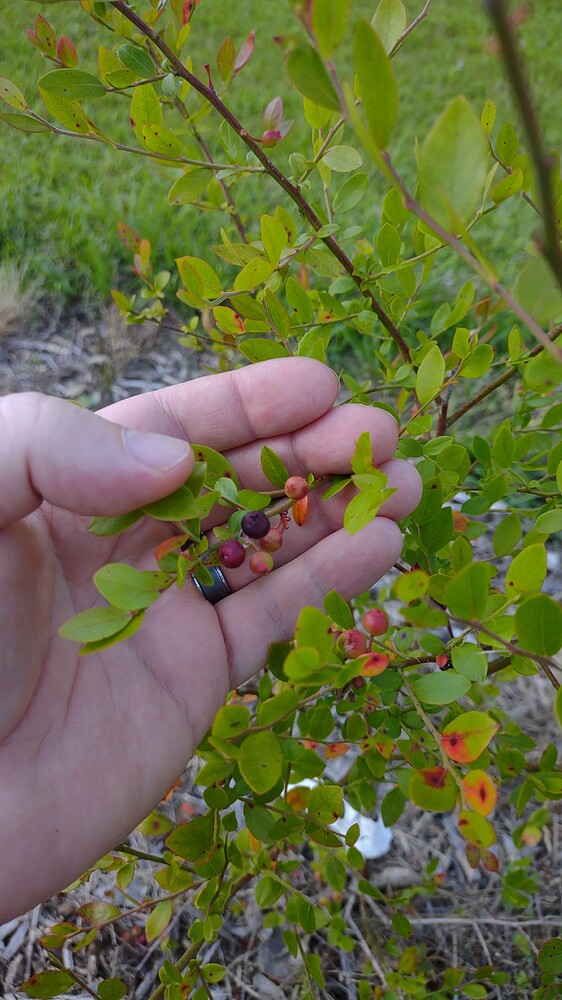 IMG_20250521_183810359