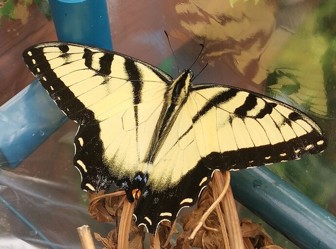 IMG_20230809_101558_edit_1082057549277597