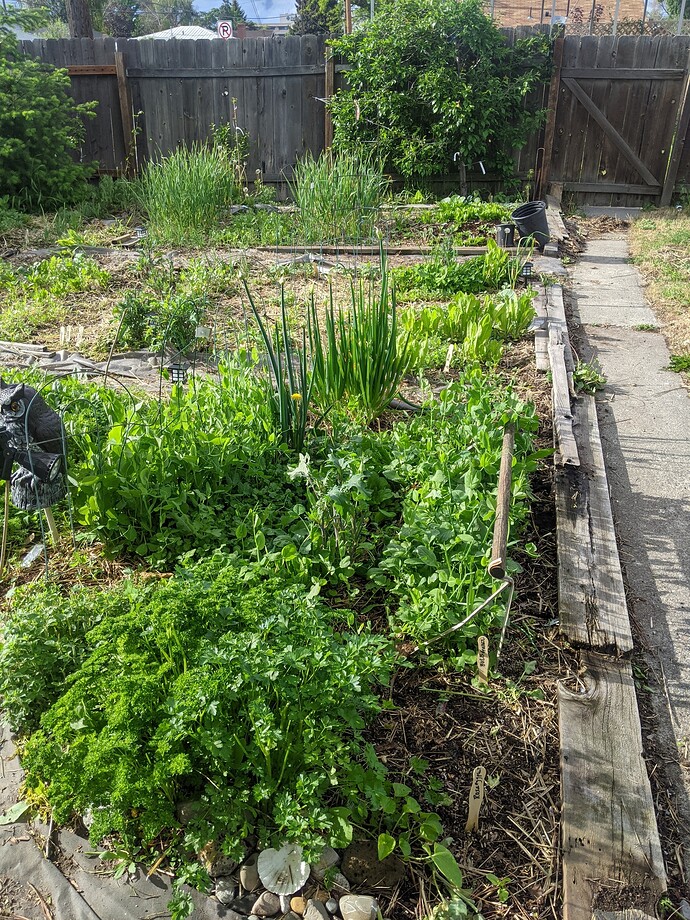 PXL_20220606_004325626