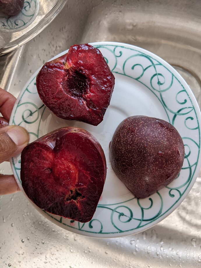 PXL_20210906_193604330