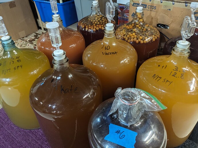 PXL_20241222_220357924